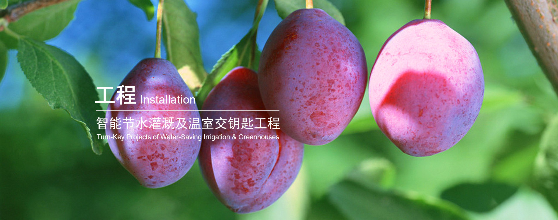 九游电脑版官方正版下载